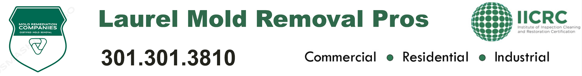 Laurel Mold Removal Pros